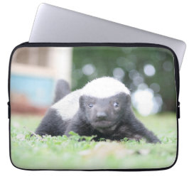 Baby honey badger laptop fodral