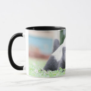Baby honey badger på grönt gräsfoto mugg