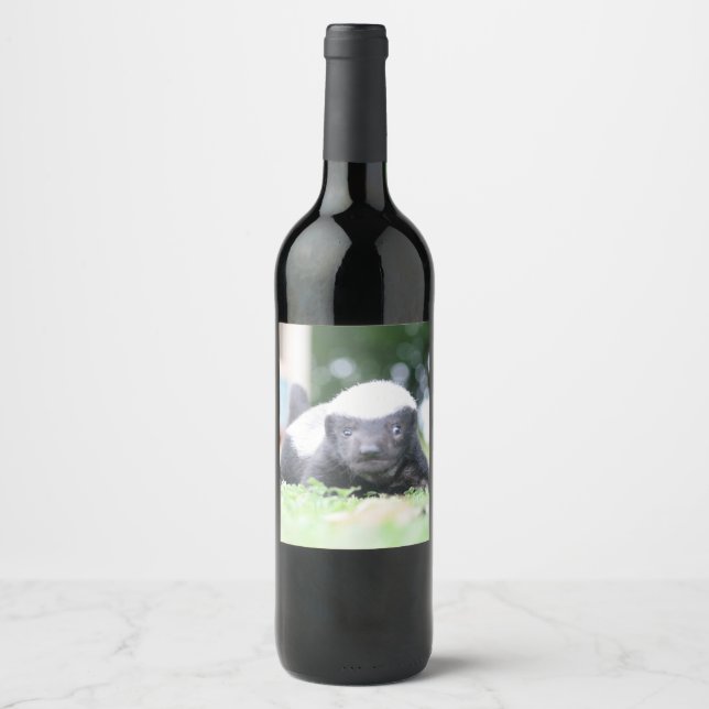 Baby honey badger på grönt gräsfoto vinflaska etikett (Framsida)