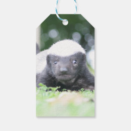 Baby honey badger presentetikett
