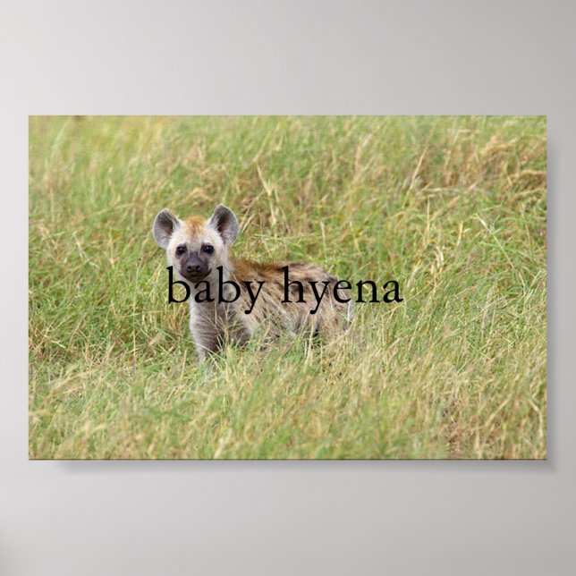 baby hyena poster (Framsidan)