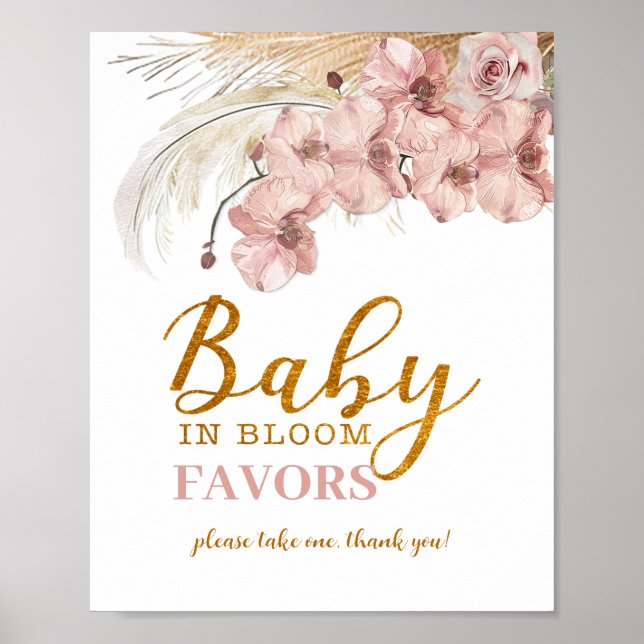 Baby i Blommigten Godkänn Pampas-favoritsignering  Poster (Framsidan)