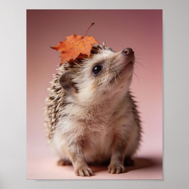 Baby Igel Kulla Rum Tryck – Väggkonst (Framsidan)