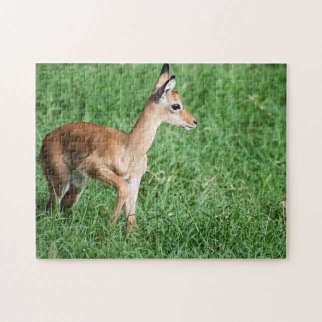 Baby Impala i Lush Grönt Grass Jigszle Puzzle Pussel (Horisontell)