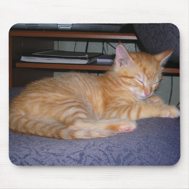 Baby Isabelle Musmatta (Framsidan)