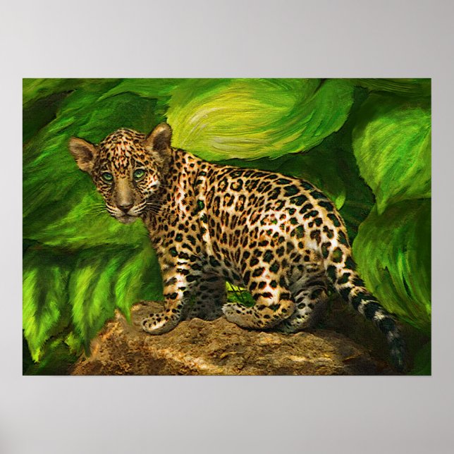 baby jaguar poster (Framsidan)
