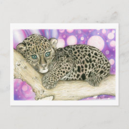 Baby Jaguar Vykort