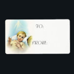 Baby Jesus i Manger Fraktsedel<br><div class="desc">Snygg bild av Baby Jesus i mangaren.</div>
