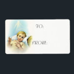 Baby Jesus i Manger Fraktsedel<br><div class="desc">Snygg bild av Baby Jesus i mangaren.</div>