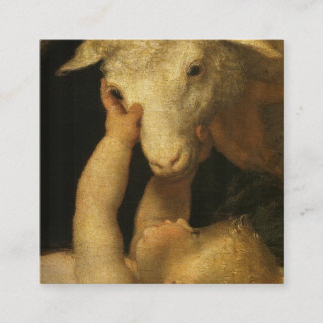 Baby Jesus Touches Lamb Rabattkort (Framsida)