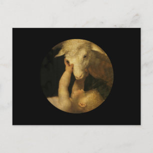 Baby Jesus Touches Lamb Vykort