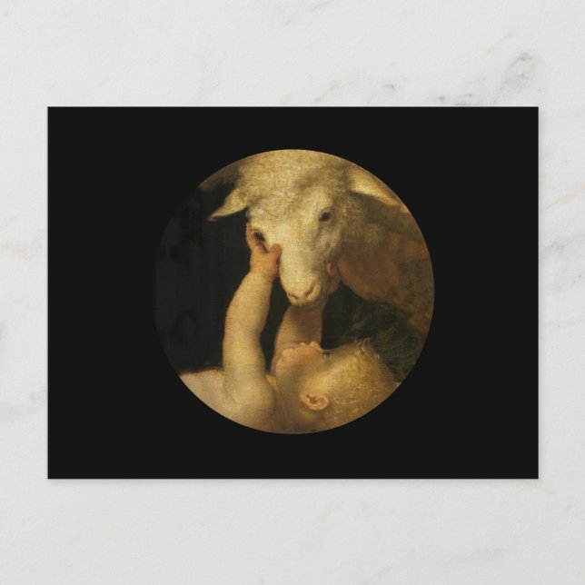 Baby Jesus Touches Lamb Vykort (Framsida)