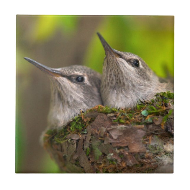 Baby Kakelplatta (Framsidan)