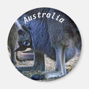 Baby kangaroo in mor mellan pouch och Australien Magnet