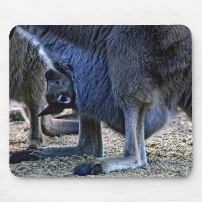 Baby kangaroo in mor mellan pouch och Australien Musmatta (Framsidan)