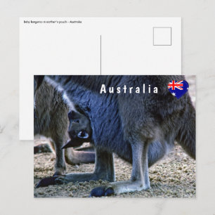 Baby kangaroo in mor mellan pouch och Australien Vykort