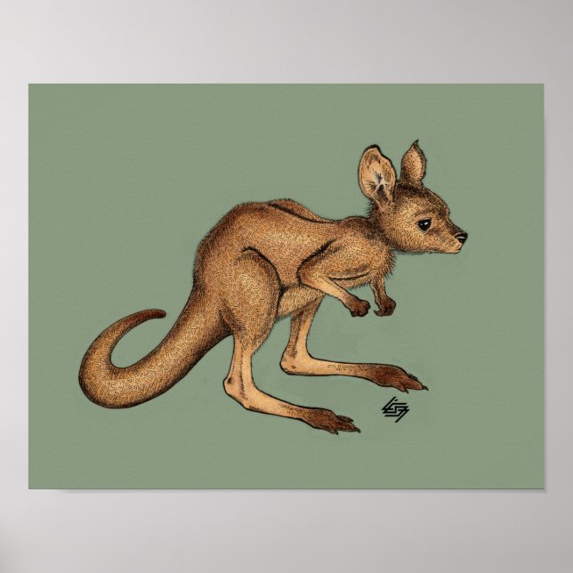 Baby Kangaroo/ Joey på gröntens bakgrund Poster (Framsidan)