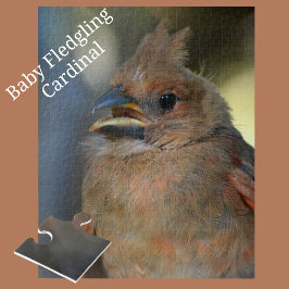 Baby kardinal Bird Close-up Photographic Pussel