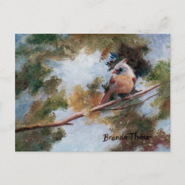 Baby kardinalvykort vykort (Framsida)