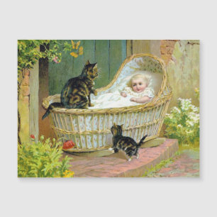 Baby, katt- och kattkort