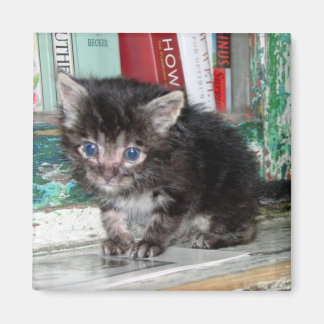 Baby Kattunge Magnet