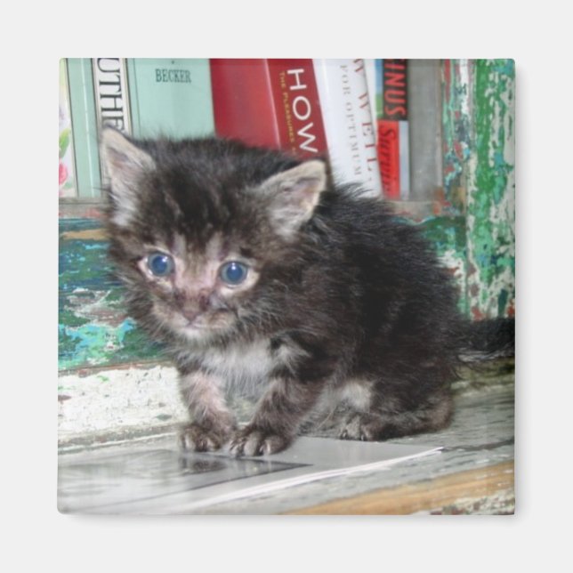 Baby Kattunge Magnet (Framsidan)