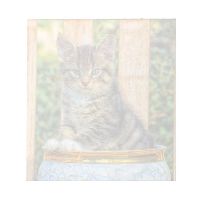 Baby Kitten Anteckningsblock (Framsida)