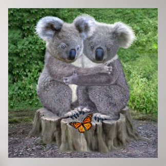 Baby Koala Björn Kramar Poster