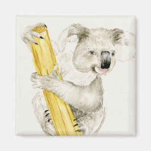 Baby Koala Cute och Hårig Magnet