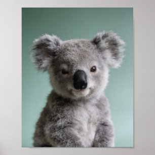 Baby Koala Porträtt – Söt Nursery Djur Väggkonst