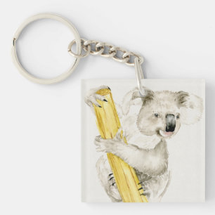Baby Koala Styrning och Hårig