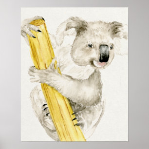 Baby Koala   Styrning och Hårig Poster