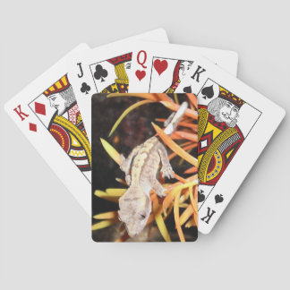 Baby krönad Gecko Spelkort