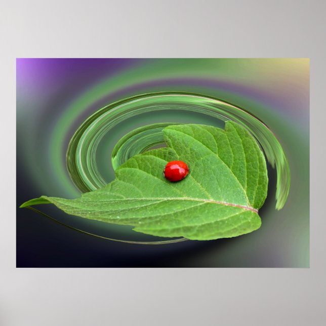 baby ladybug poster (Framsidan)