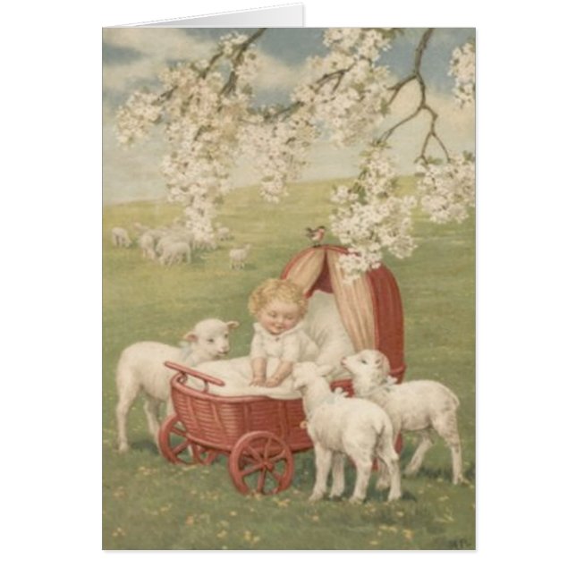 Baby Lamb Dogwood Träd Fält Hälsningskort (Framsidan)