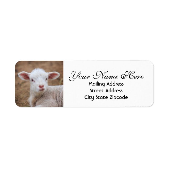Baby Lamb Returadress Returadress Etikett (Framsidan)