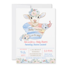 Baby Lamb Rosa Blue Gender Neutral Reveal