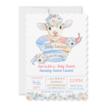 Baby Lamb Rosa Blue Gender Neutral Reveal
