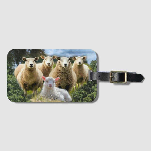 Baby Lamb Sheep Herp Flock Bagagebricka (Framsida horisontal)