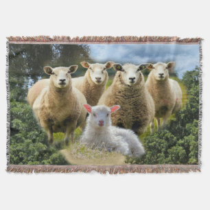 Baby Lamb Sheep Herp Flock Filt