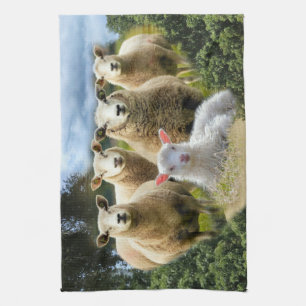 Baby Lamb Sheep Herp Flock Kökshandduk