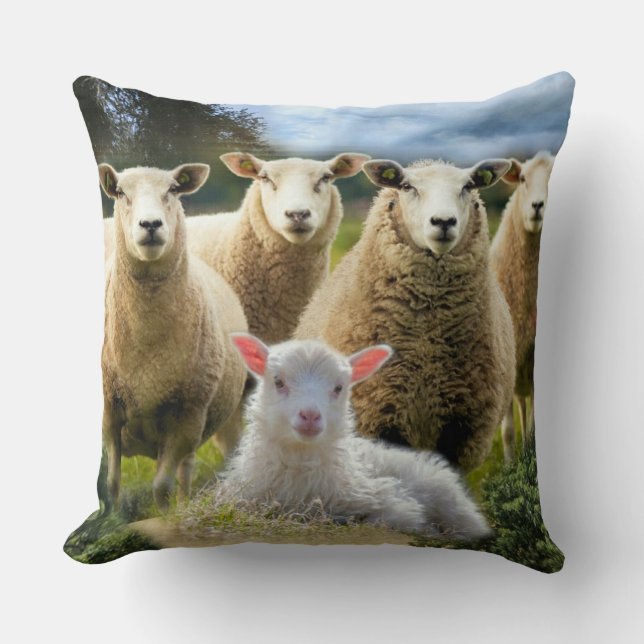 Baby Lamb Sheep Herp Flock Kudde (Framsida)