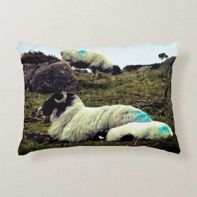 Baby Lamb Spipande nära Wistmans trä Prydnadskudde (Framsidan)