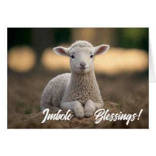 Baby lammbitsglassar hälsningskort