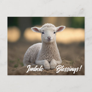 Baby lammbitsglassar vykort