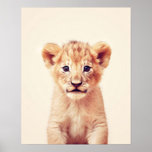 Baby Lejon Poster