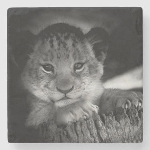Baby Lejon Stenunderlägg