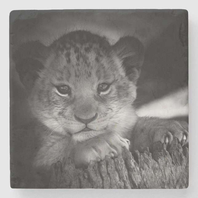 Baby Lejon Stenunderlägg (Framsidan)