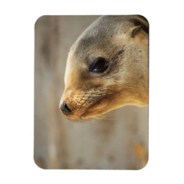 Baby Lejona ansikte Magnet