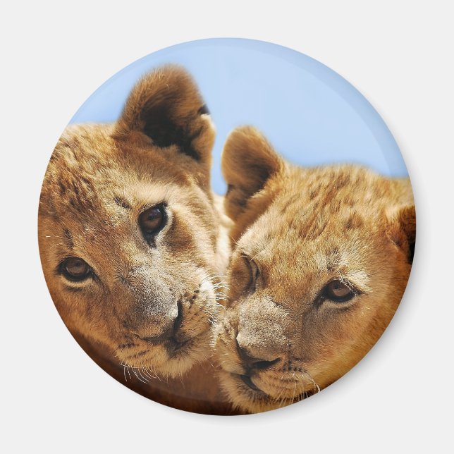 Baby lejona kärlek magnet (Framsidan)
